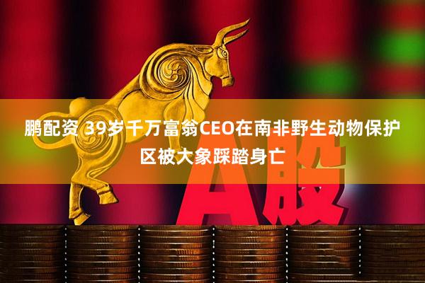 鹏配资 39岁千万富翁CEO在南非野生动物保护区被大象踩踏身亡