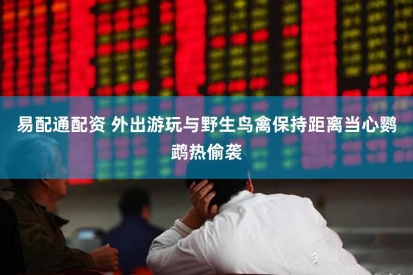 易配通配资 外出游玩与野生鸟禽保持距离当心鹦鹉热偷袭