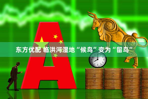 东方优配 临洪河湿地“候鸟”变为“留鸟”