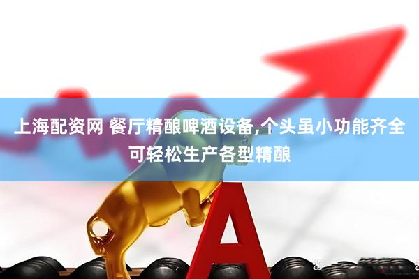 上海配资网 餐厅精酿啤酒设备,个头虽小功能齐全可轻松生产各型精酿
